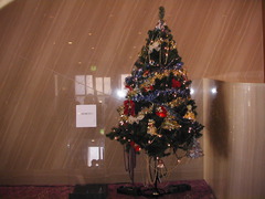 09記念コンツリー12月20日 002.jpg